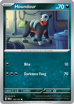 Houndour - 132