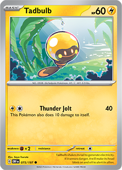 Tadbulb 075